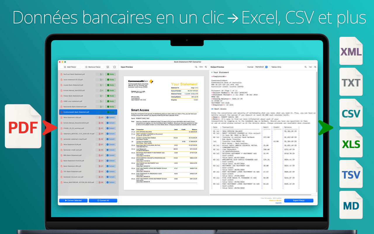 Choix du format de sortie — Excel, CSV, TXT, XML, TSV, Markdown