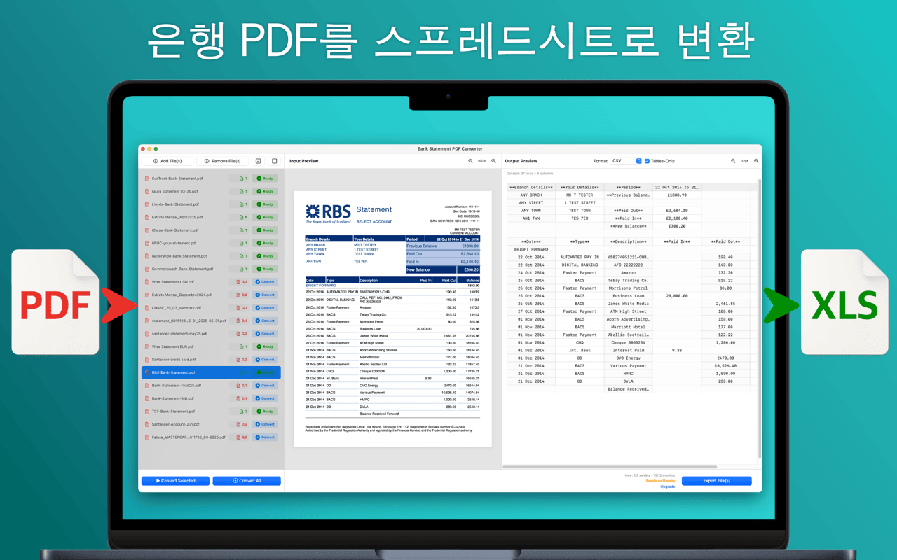 왼쪽에 은행 명세서 PDF, 오른쪽에 추출된 거래 표가 표시된 Mac 앱 인터페이스